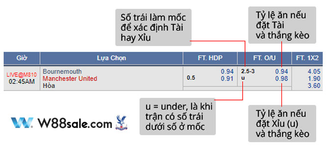 bang-ty-le-tai-xiu-bong-da